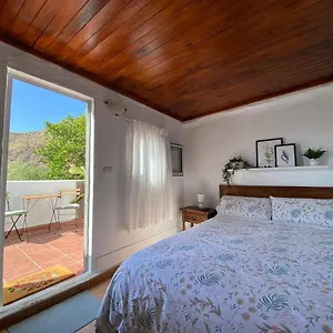 https://hostel-bb-charco-azul.in-canary-islands.com